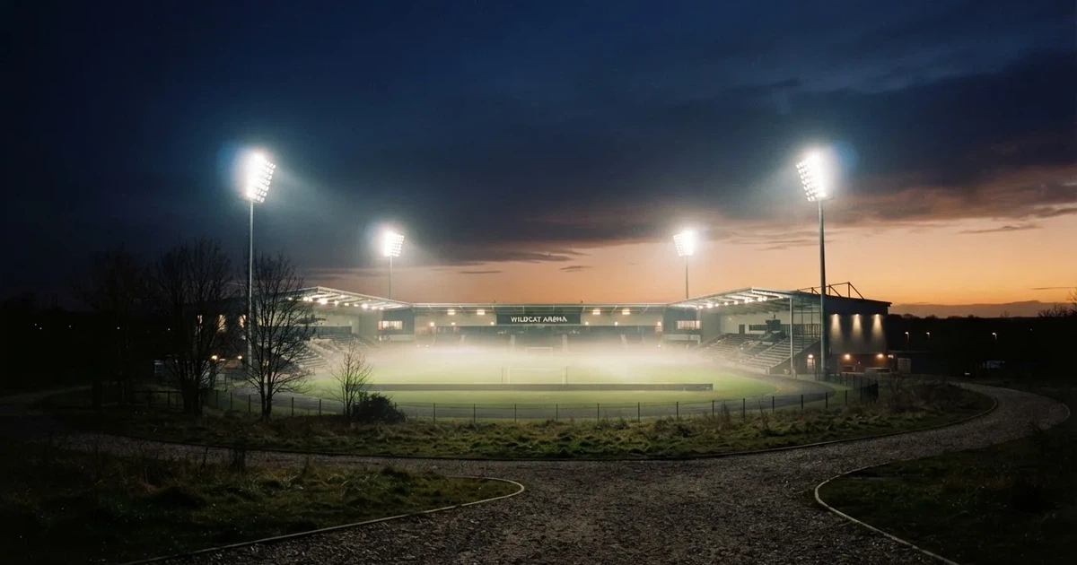 Ein Stadion unter Flutlicht aus der Ferne am Abend, hell erleuchtet, Nebel liegt über dem Rasen.